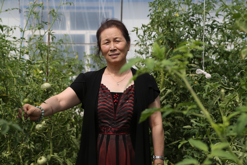 K8凯发旗舰厅(中国)官方网站