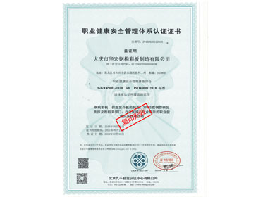 职业康健清静治理系统认证证书